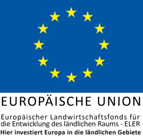 EULogoHieriInvestiert_zentriert