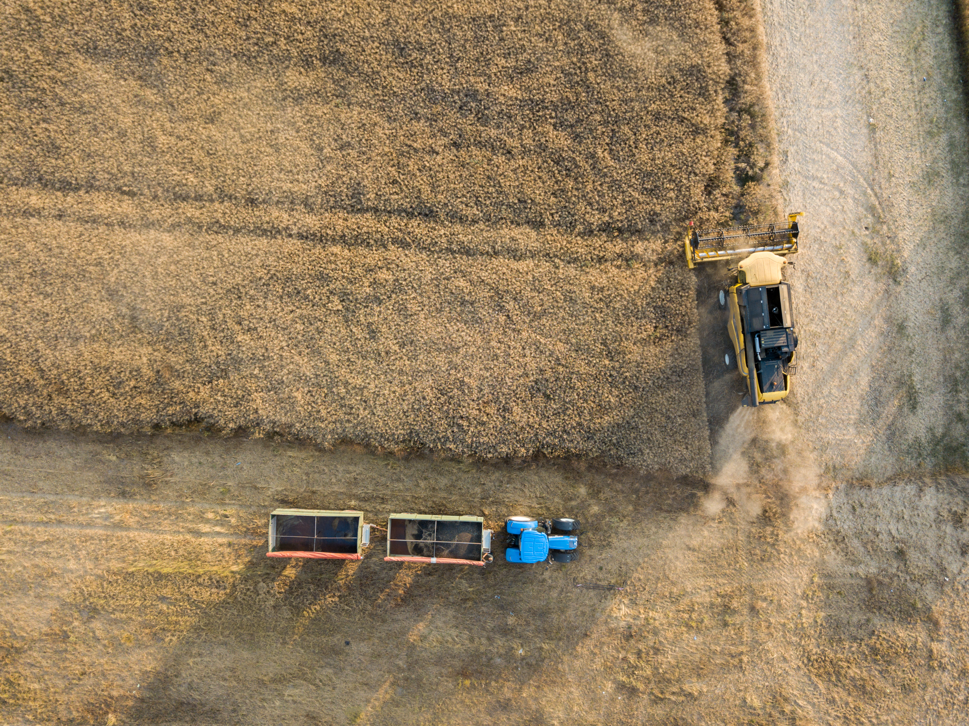 DJI_0242
