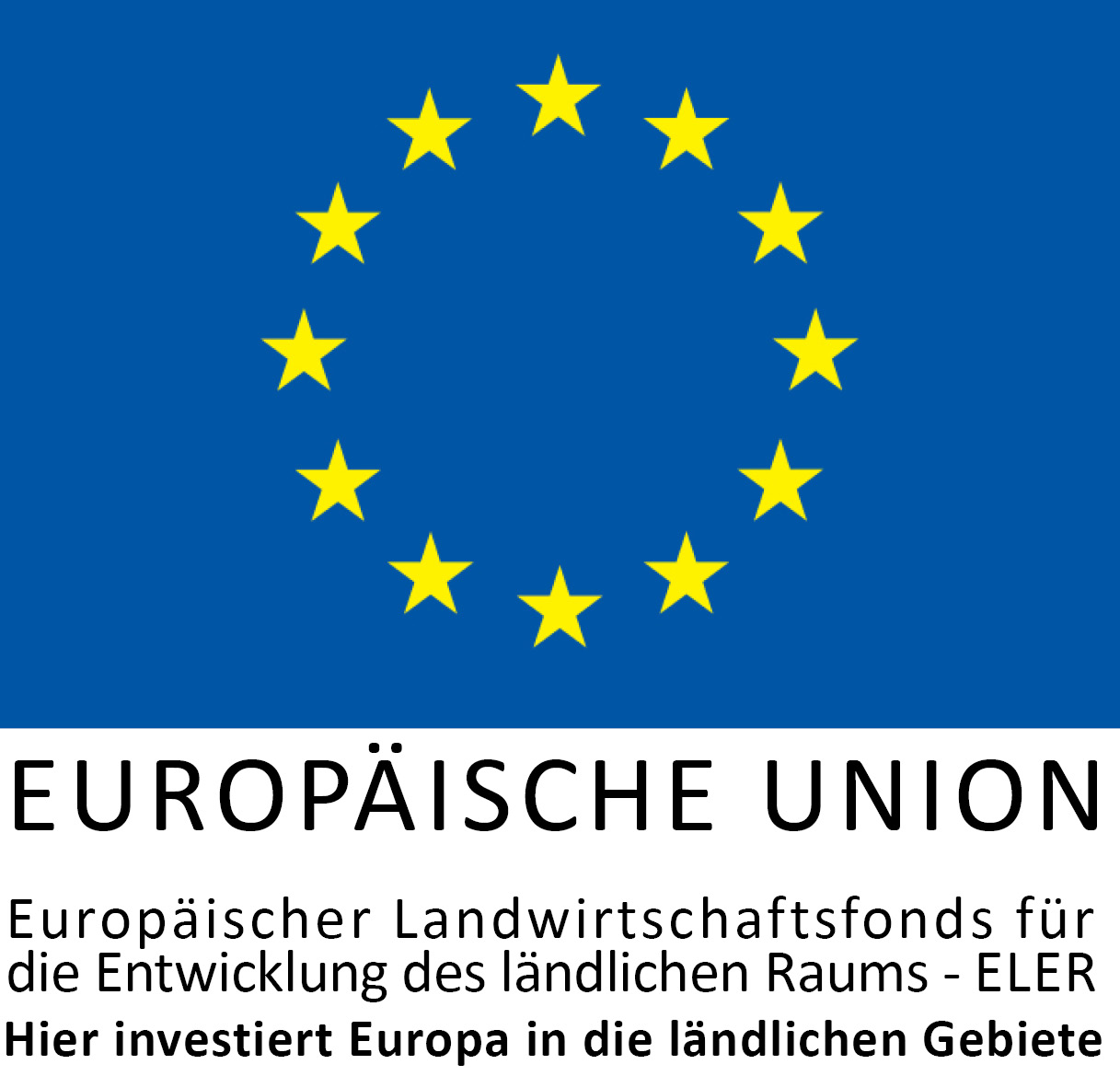 EULogoHieriInvestiert_zentriert