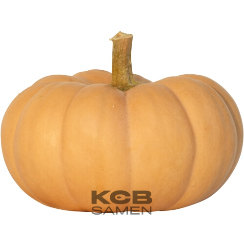 photo_Autumn-Crown-F1_910517